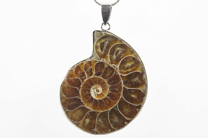 Fossil Ammonite Pendant - Million Years Old #306430